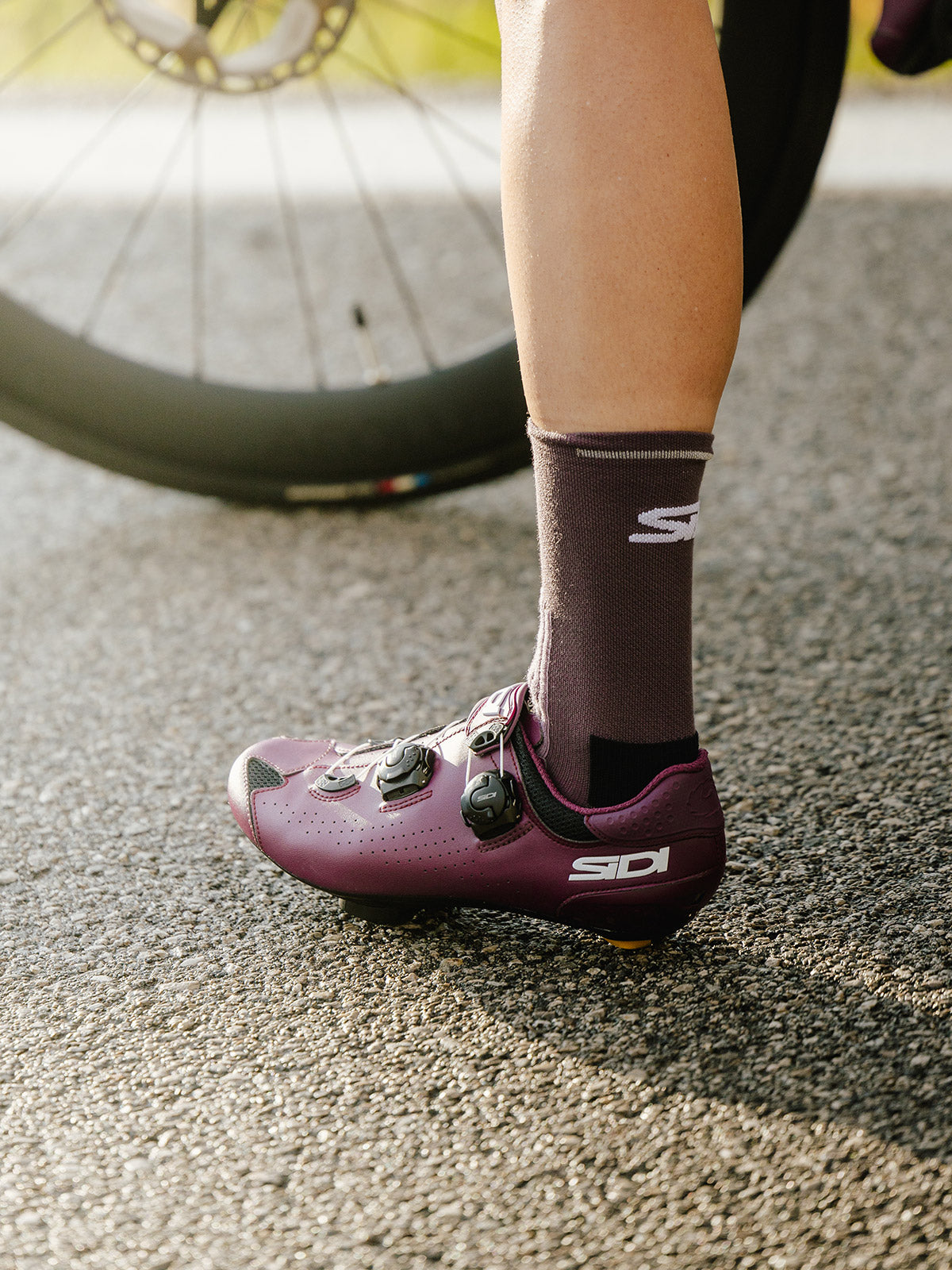 Sidi Genius 10 Bike Shoe in color || wine